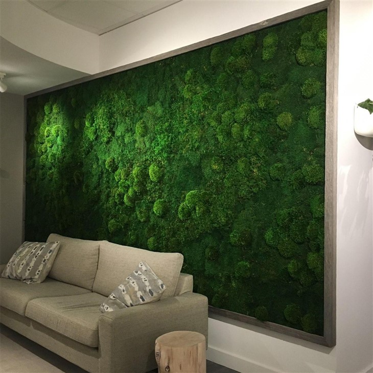 Preserved Moss